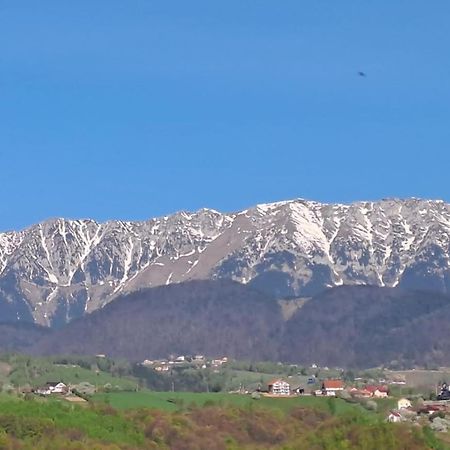 Villa Conacul Elenei Poiana Mărului Exterior foto