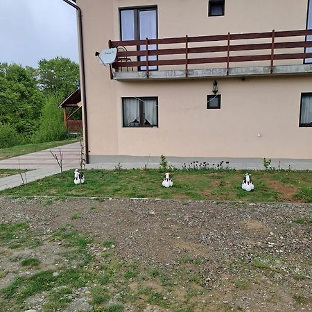 Villa Conacul Elenei Poiana Mărului Exterior foto