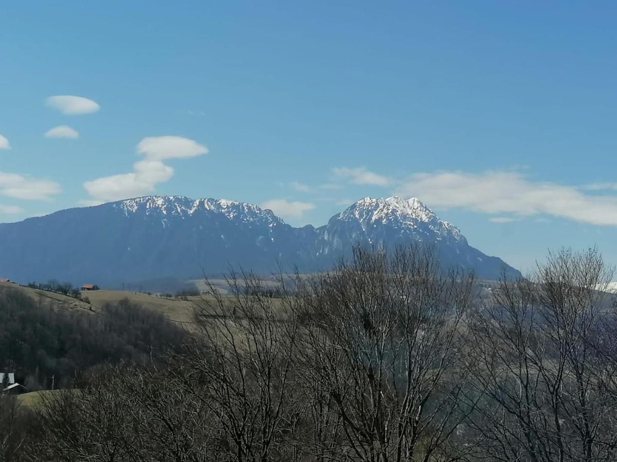 Villa Conacul Elenei Poiana Mărului Exterior foto