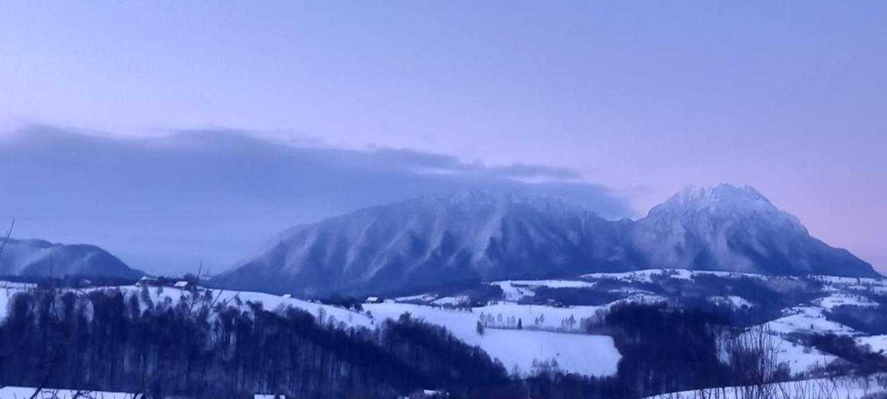 Villa Conacul Elenei Poiana Mărului Exterior foto