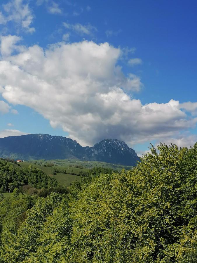 Villa Conacul Elenei Poiana Mărului Exterior foto