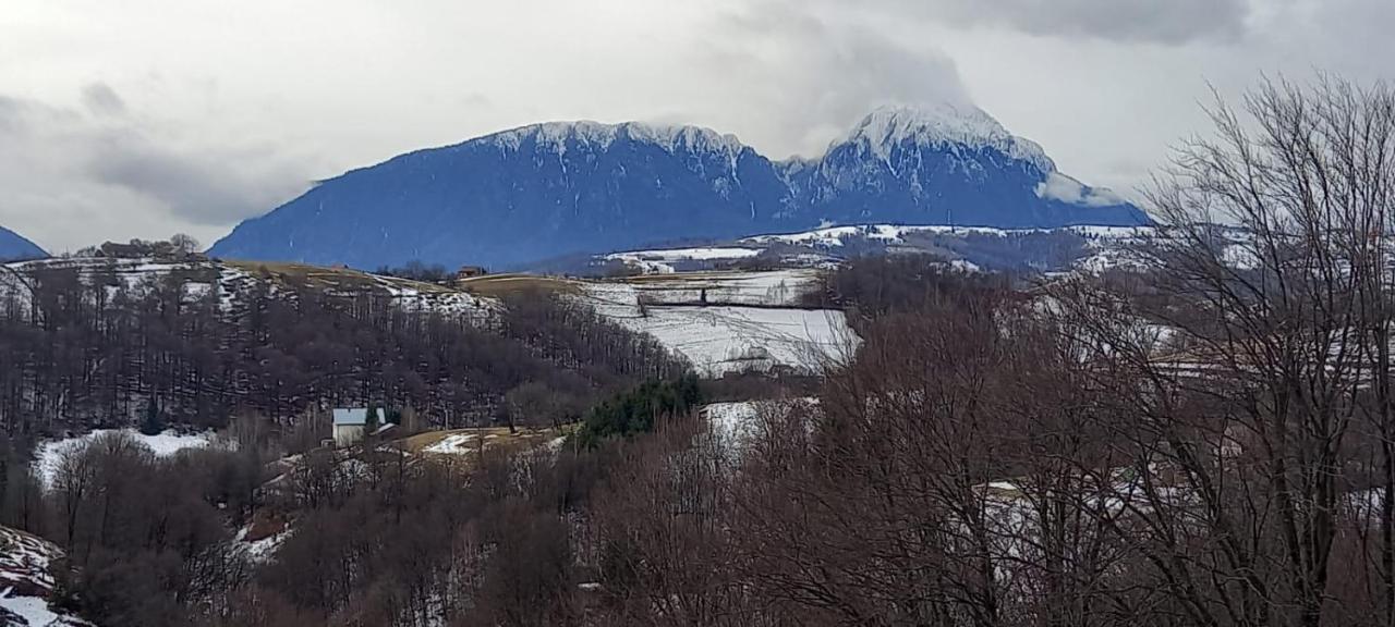 Villa Conacul Elenei Poiana Mărului Exterior foto