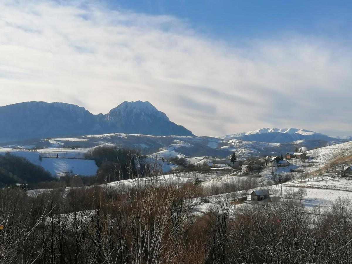 Villa Conacul Elenei Poiana Mărului Exterior foto