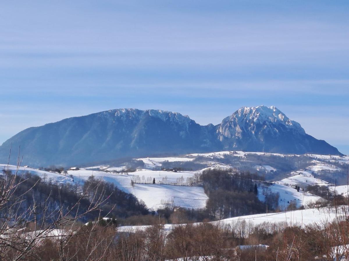 Villa Conacul Elenei Poiana Mărului Exterior foto