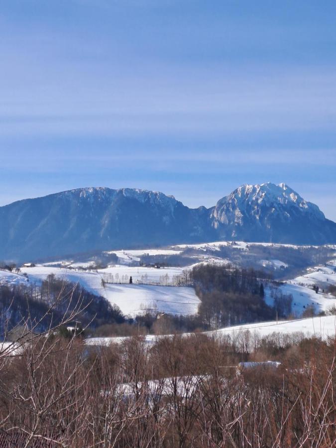 Villa Conacul Elenei Poiana Mărului Exterior foto