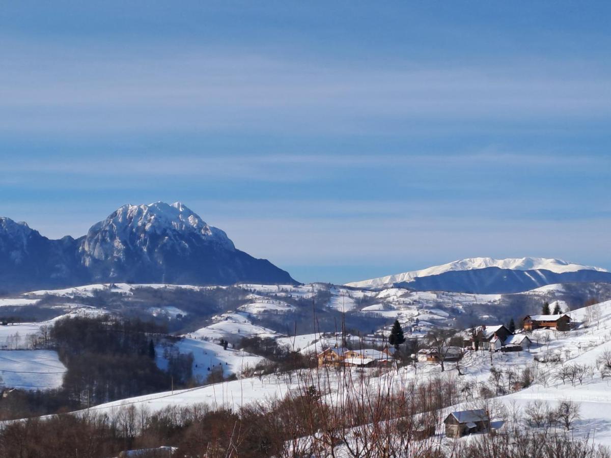 Villa Conacul Elenei Poiana Mărului Exterior foto