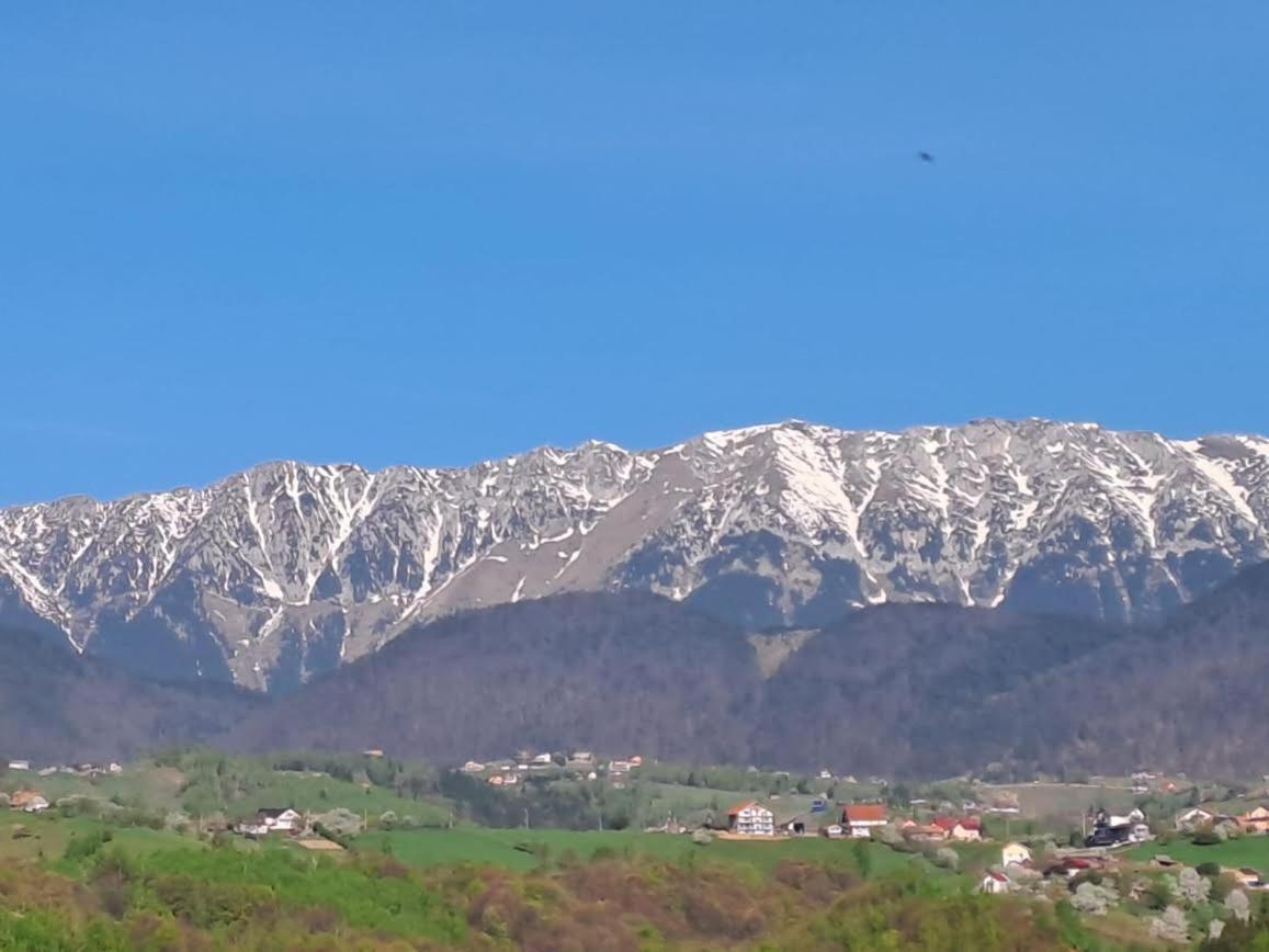 Villa Conacul Elenei Poiana Mărului Exterior foto