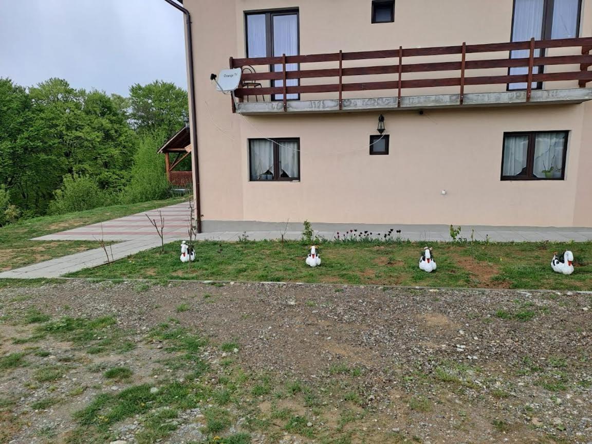 Villa Conacul Elenei Poiana Mărului Exterior foto